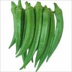 Lady's finger - வெண்டைக்காய்
